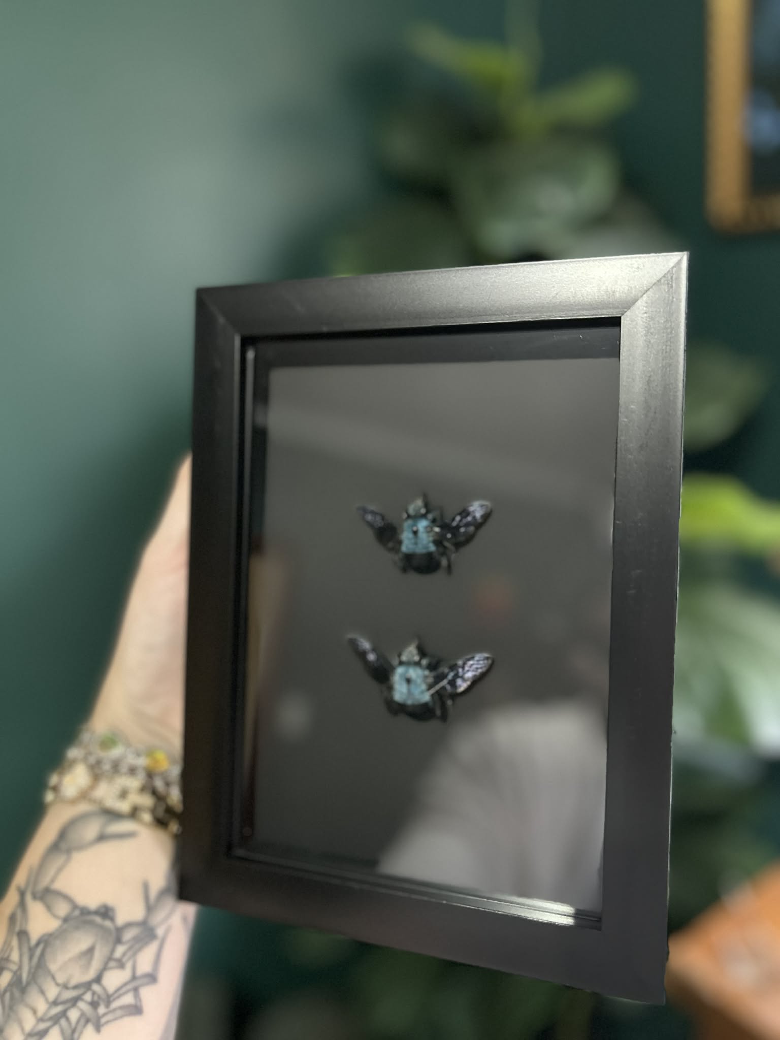 Blue Carpenter Bee Pair